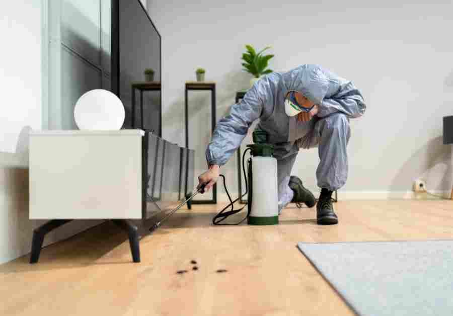 Top-Rated Pest Control Turramurra | Get 3 Free Quotes!