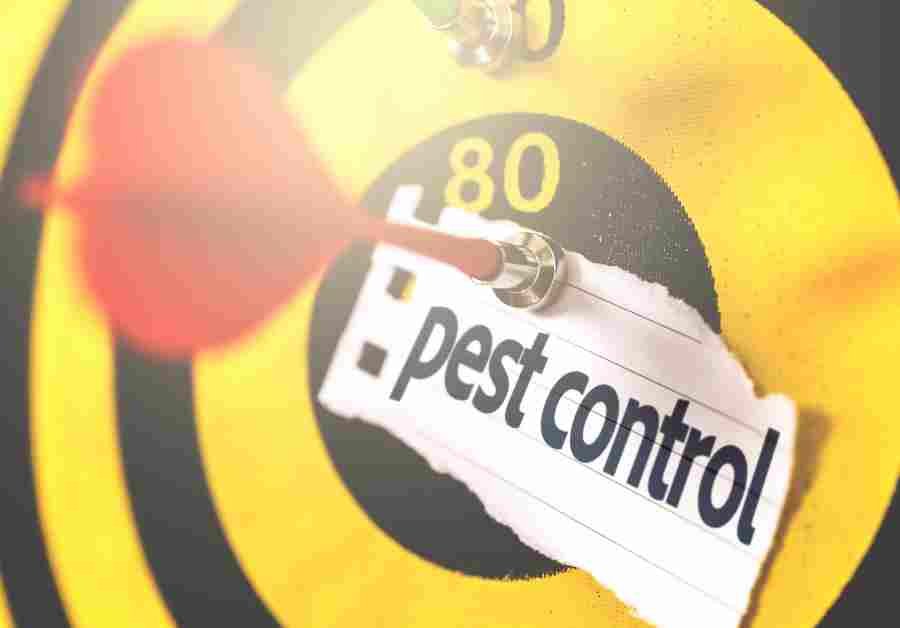 Hornsby Pest Control: Your Guide to a Pest-Free Life