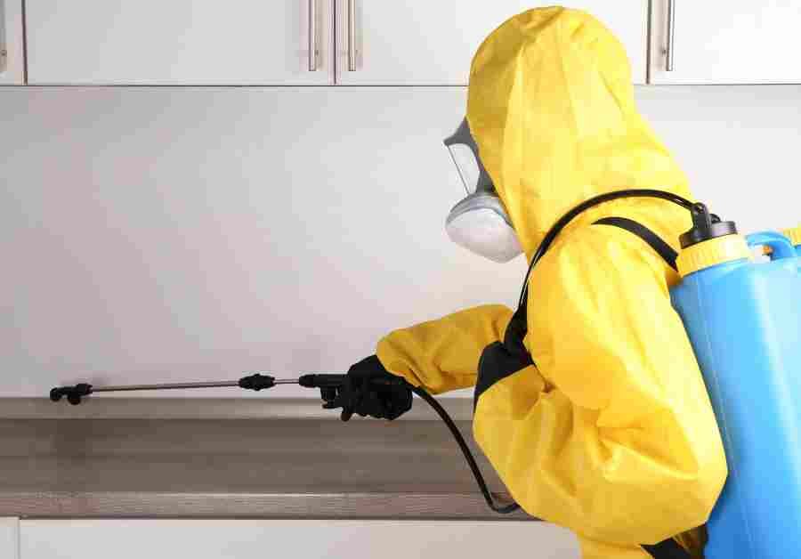 Hornsby Pest Control: Your Ultimate Guide to a Pest-Free Home