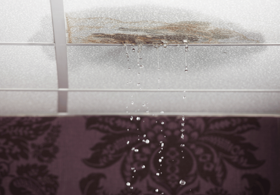 Water Leak Detection Near Me: Adelaide's Expert Guide