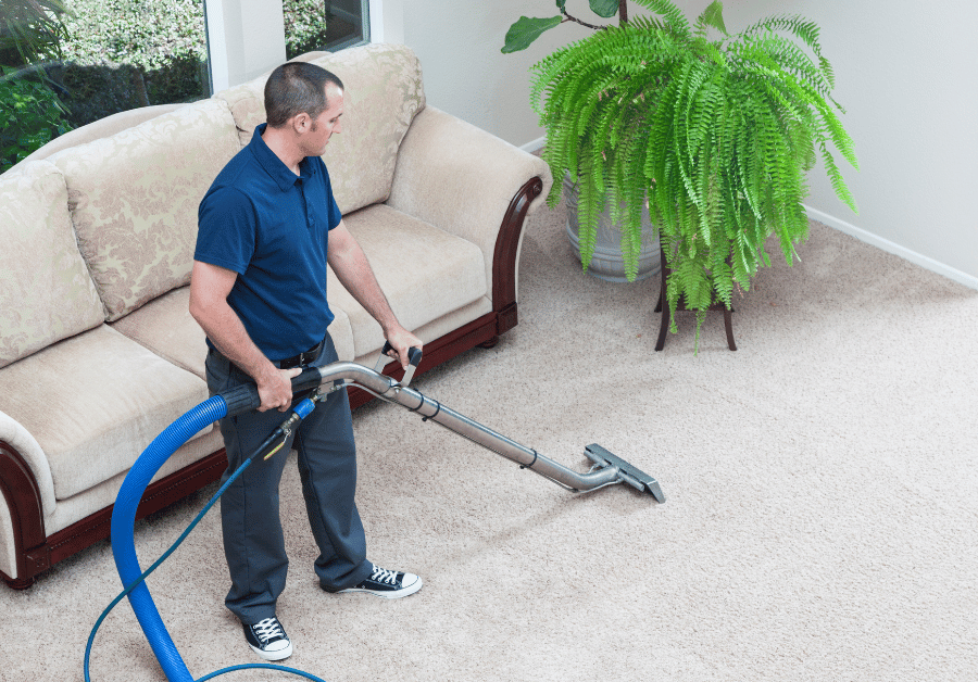 Find the Best Carpet Cleaning Business Near You in Australia