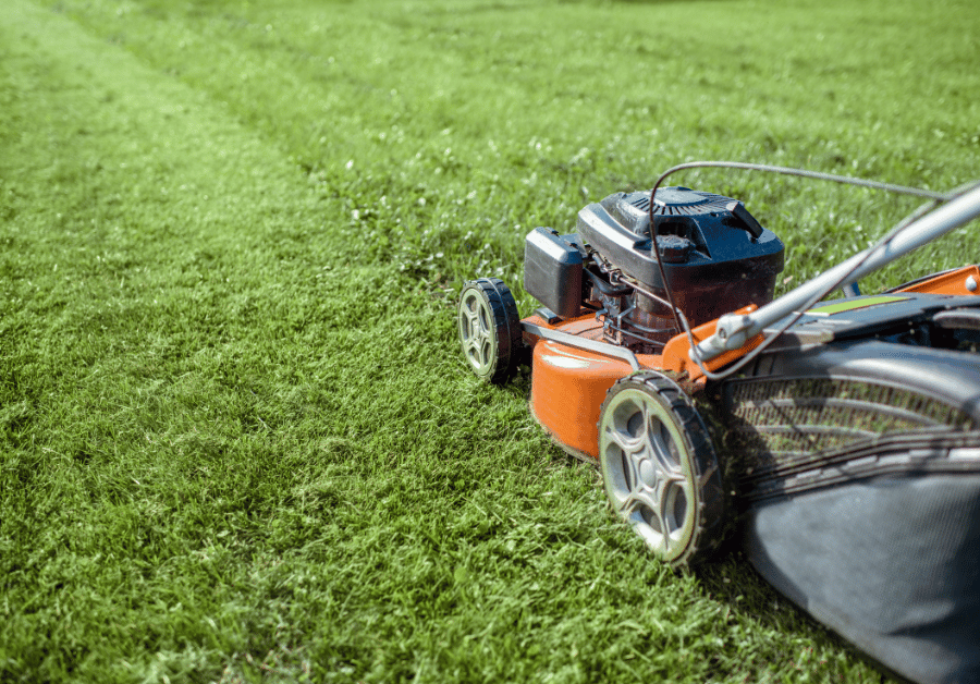 Yard Cutting Service Near Me: Expert Guide for Australian Lawns
