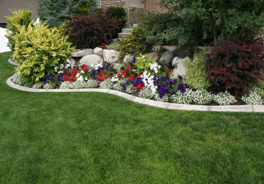 Landscaping Near Me: Transform Your Australian Garden Today!