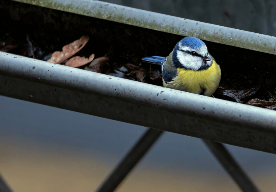 Guttering Near Me: Find Top Melbourne Services & Save!