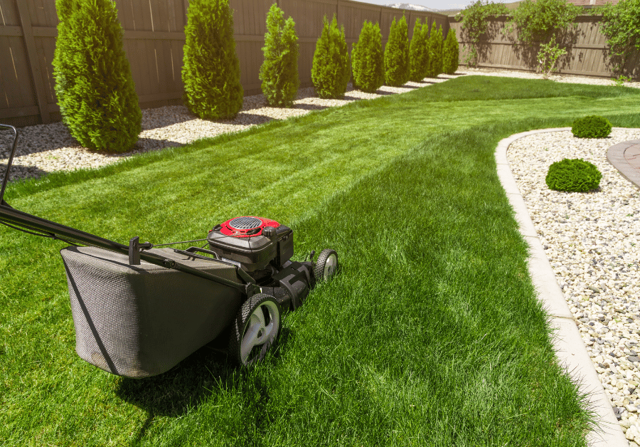 Lawn Mowing Service Near Me: Find the Best in Australia