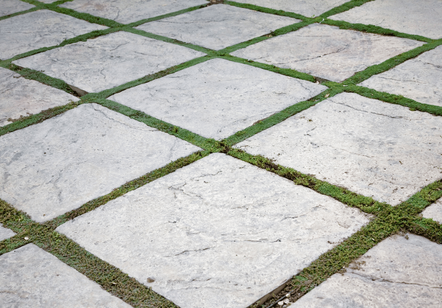 Stone Pavers Near Me: Your Ultimate Guide [Melbourne & Beyond]