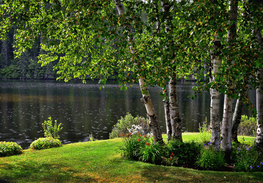 Landscape Design Near Me: Transform Your Aussie Outdoor Space