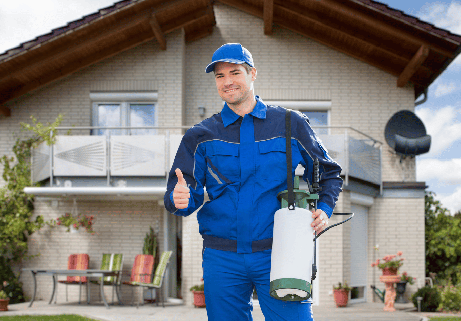 Pest Management Near Me: Your Australian Guide to a Pest-Free Home