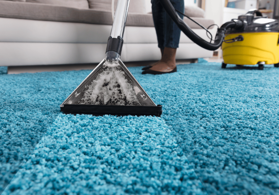 Carpet Cleaning Business Near Me: Your Ultimate Australian Guide