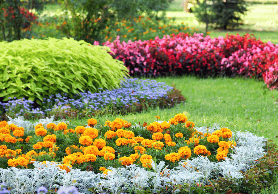 Landscaping Near Me: Aussie Guide to Outdoor Bliss