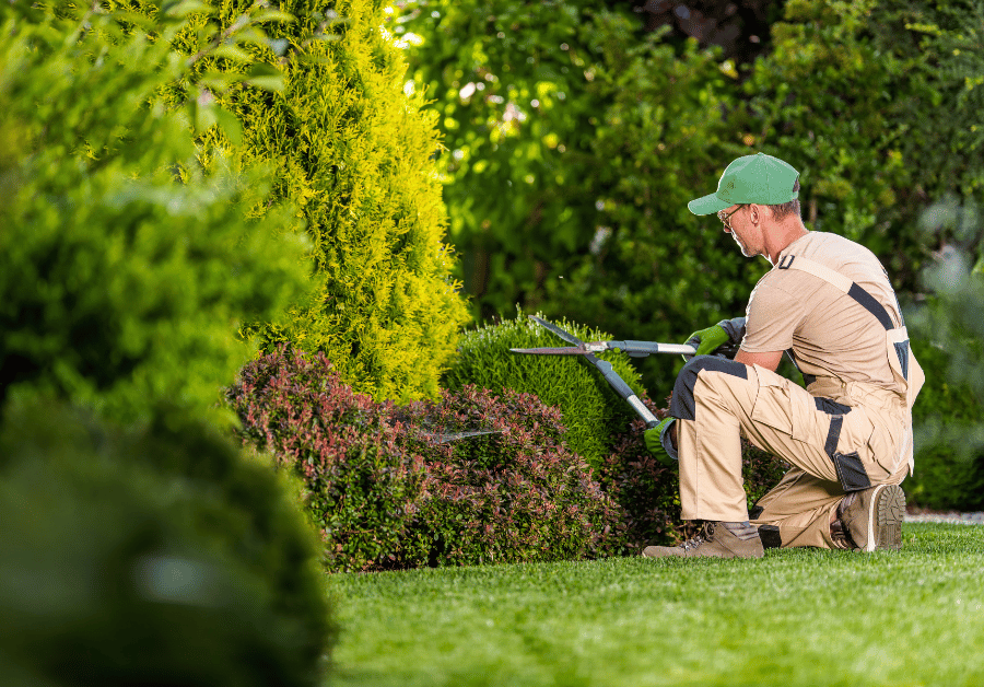 Gardener Near Me: Create Your Dream Aussie Garden