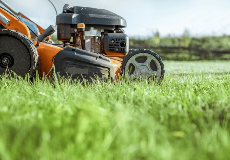 Grass Cutting Service Near Me: Your Ultimate Guide to a Perfect Aussie Lawn