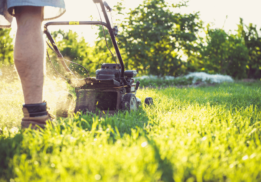 Yard Mowing Near Me: Your Guide to a Pristine Aussie Lawn