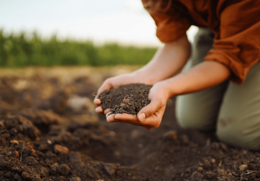 Soil Analysis Cost Australia: Your Guide to Smarter Land Management