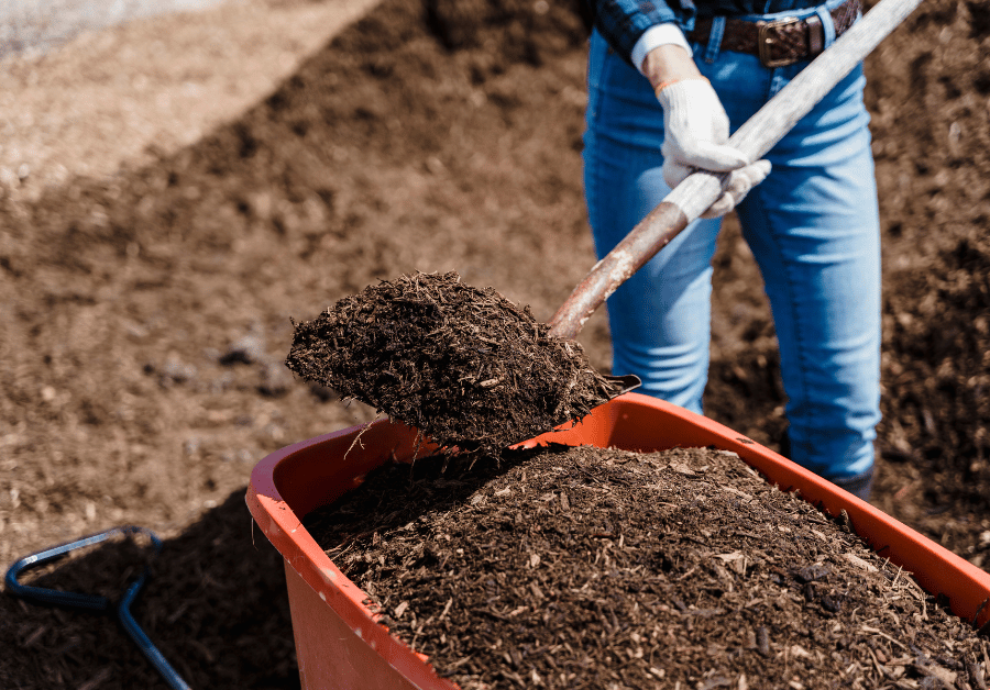 Soil Testing Service Near Me: Your Ultimate Guide for Australian Properties