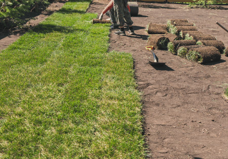 Synthetic Turf Installer: Your Guide to a Perfect Aussie Lawn