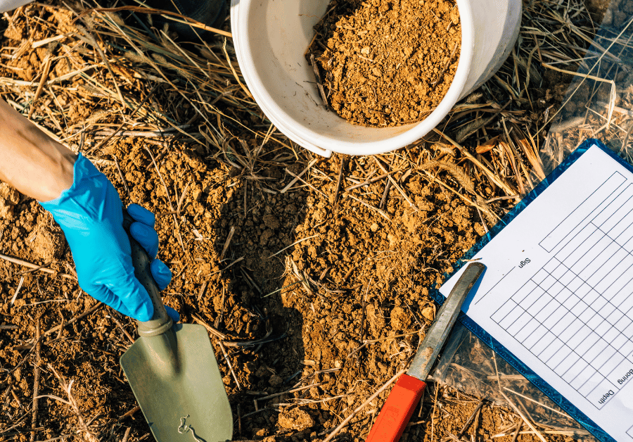 Soil Testing Services: Your Guide for Aussie Properties