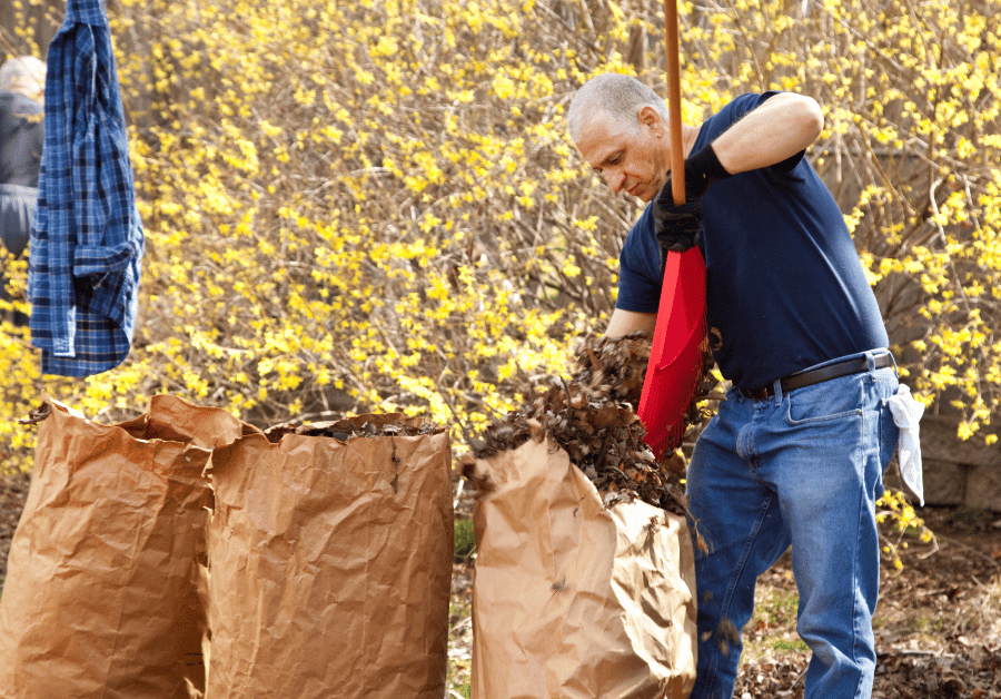 Garden Clean Up Service Near Me: Your Ultimate Guide
