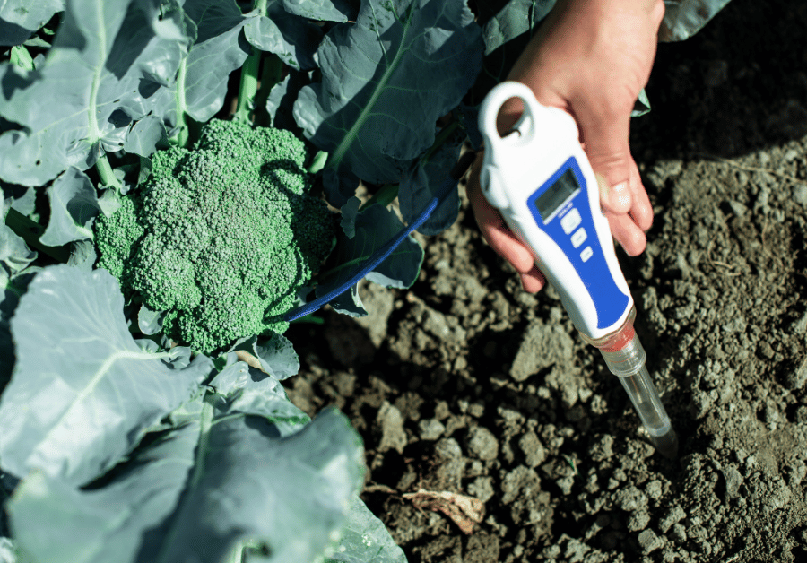 Soil Analysis Cost: Your Aussie Guide to Project Success