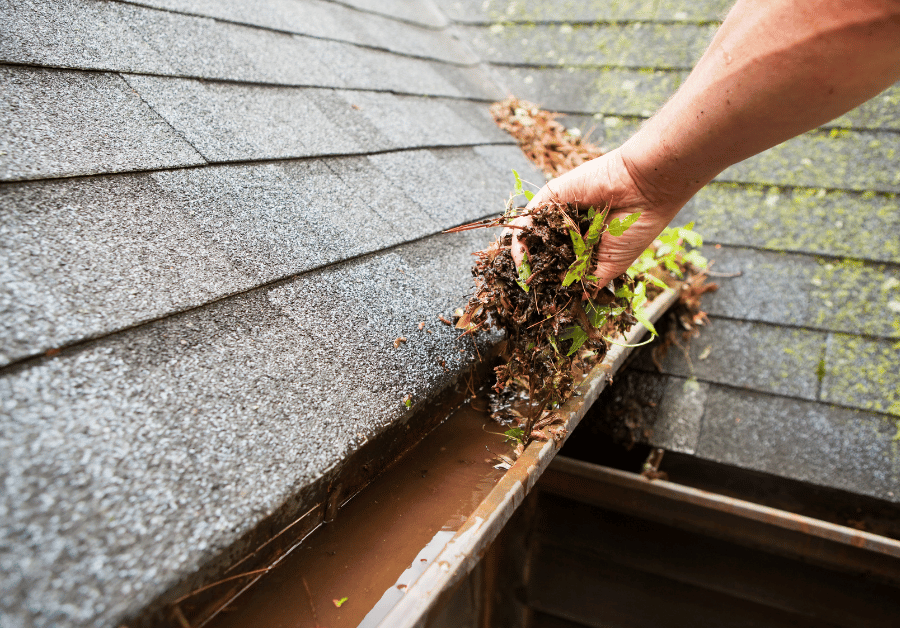 Rain Gutter Cleaning Near Me: Your Essential Guide for Australian Homes