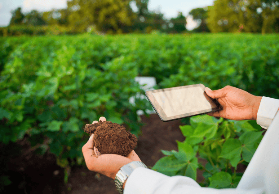Soil Testing Service Near Me: Aussie's Top Guide