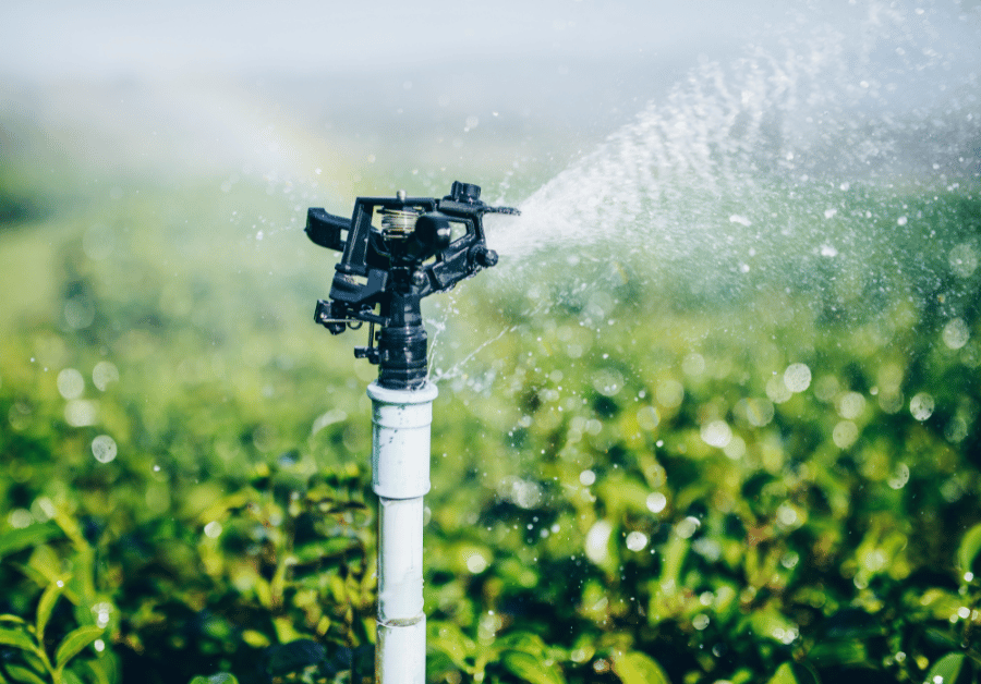 Irrigation Repair Near Me: Your Aussie Guide to Lush Gardens