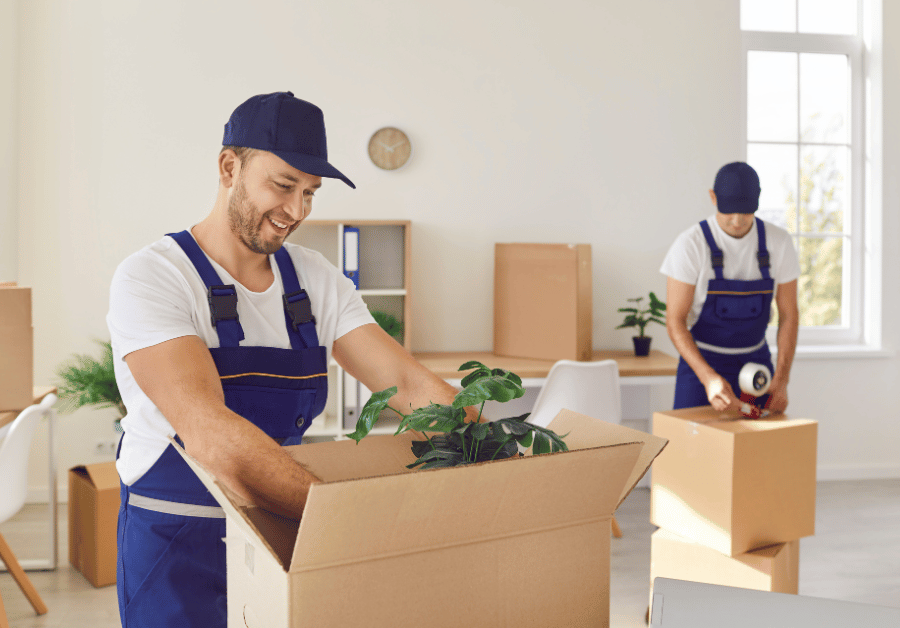 Small Moves Service Near Me: Your Ultimate Aussie Guide