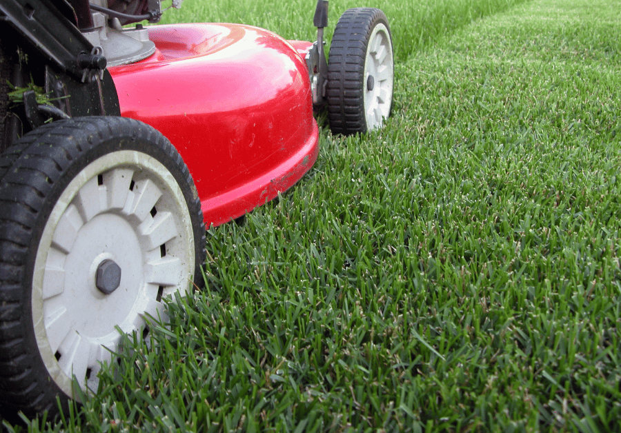 Lawn Mowing Service Near Me: Your Ultimate Guide to a Perfect Aussie Lawn