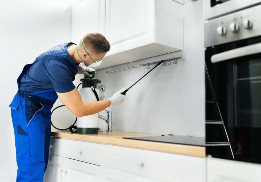 Pest Control Near Me: Your Ultimate Aussie Guide to a Pest-Free Home & Business
