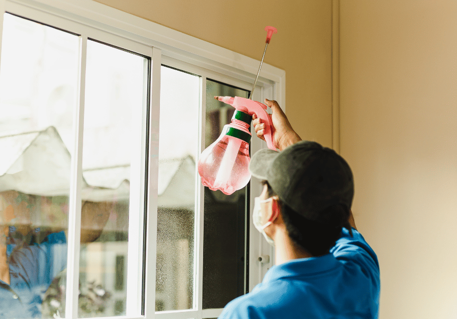 Window Tinting Near You: Aussie Guide to Perfect Tint Solutions