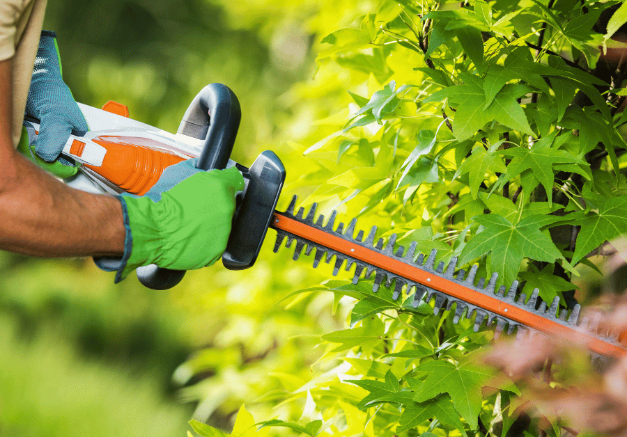 Yard Cutting Service Near Me: Your Ultimate Aussie Lawn Guide