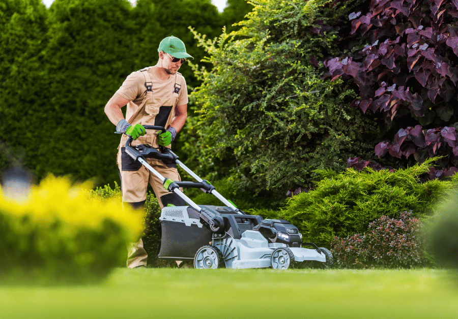 Lawn Mowing Service Near Me: Find the Best in Adelaide & Beyond!
