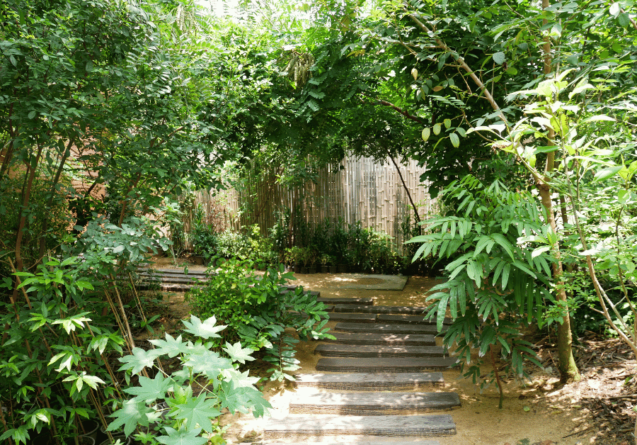 Garden Designer Near Me: Find the Best in Adelaide & Australia