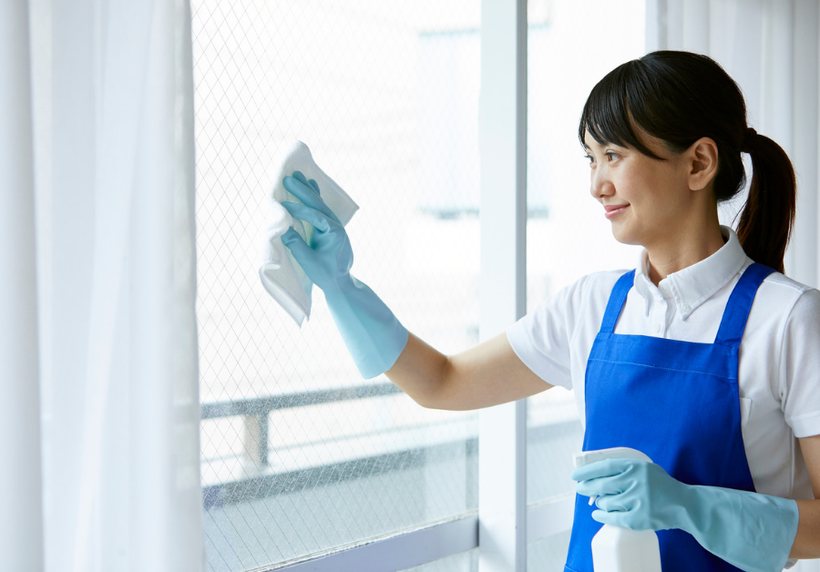 Window Cleaners Near Me: Finding the Best in Adelaide & Beyond